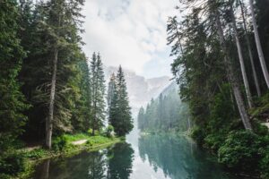 Gone Fishing: From Working on Patients to Working with Patients, Transforming what Healthcare Looks Like